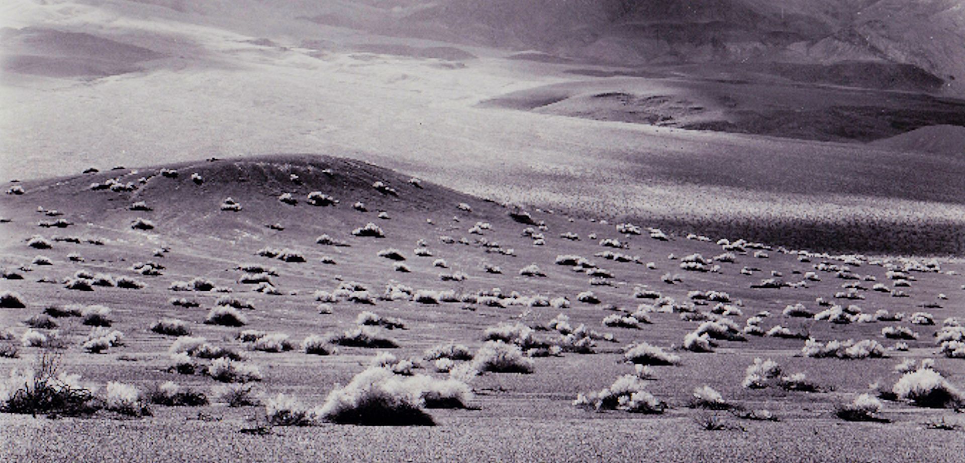 ubehebe crater
