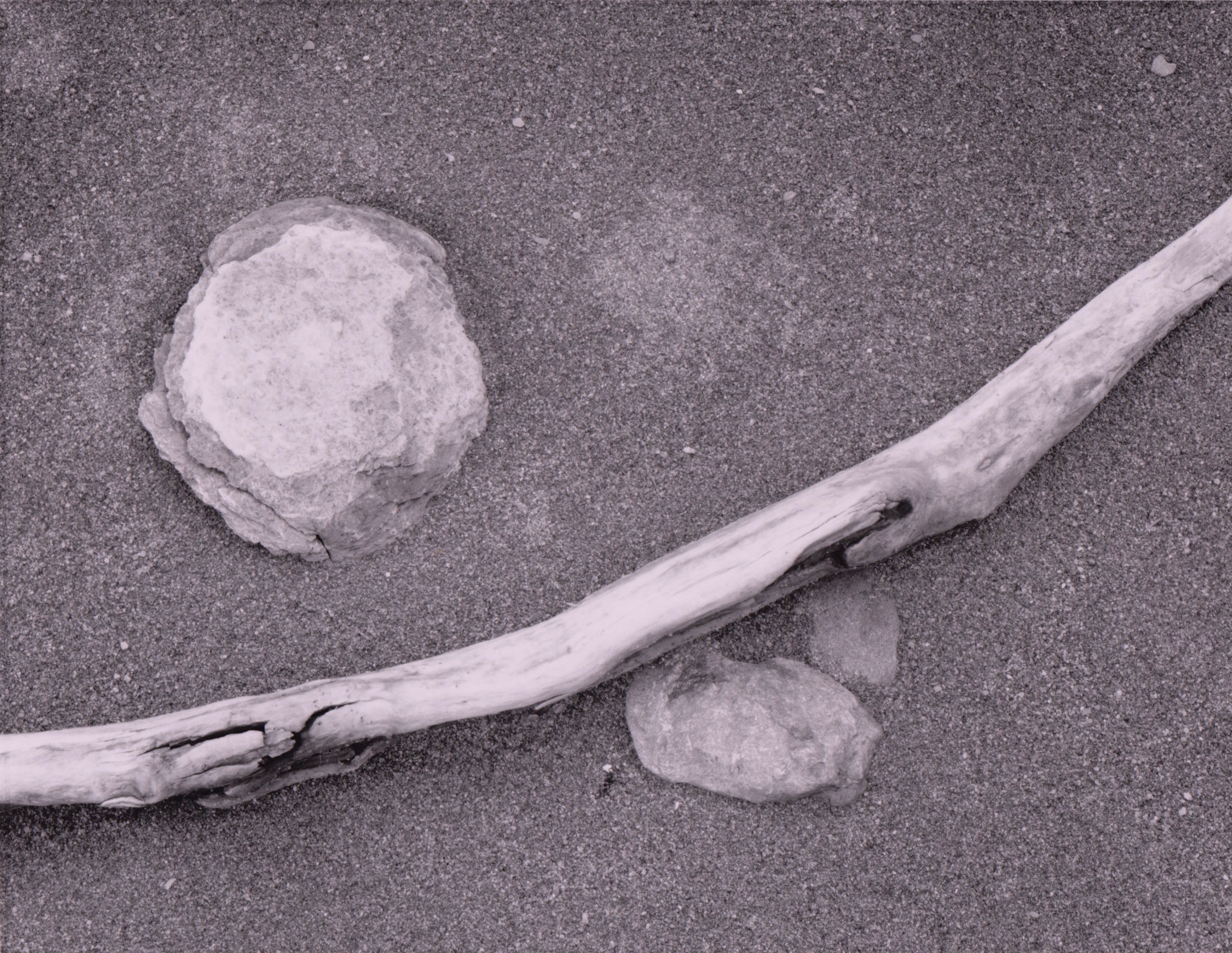 beach debris photograph