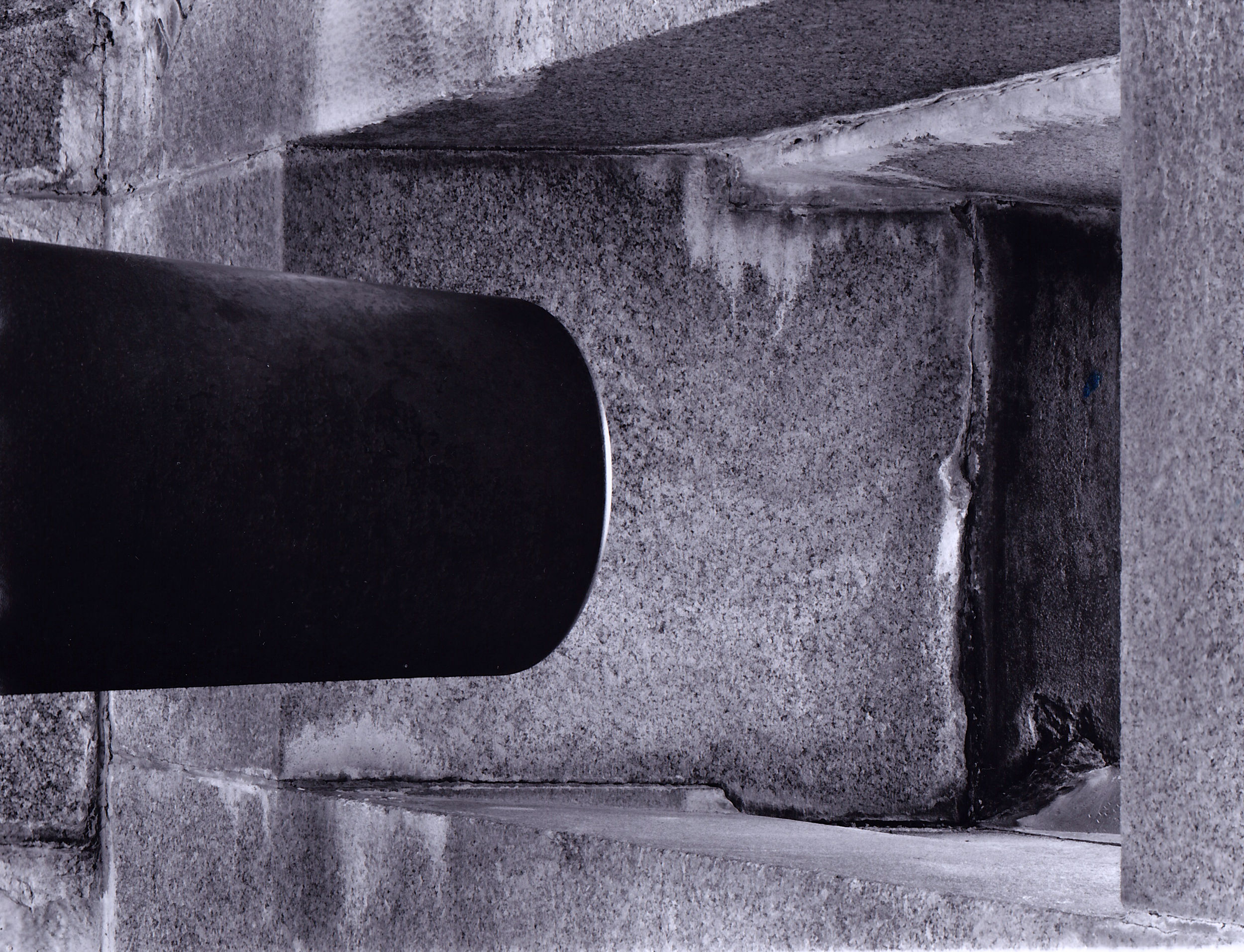 cannon photograph