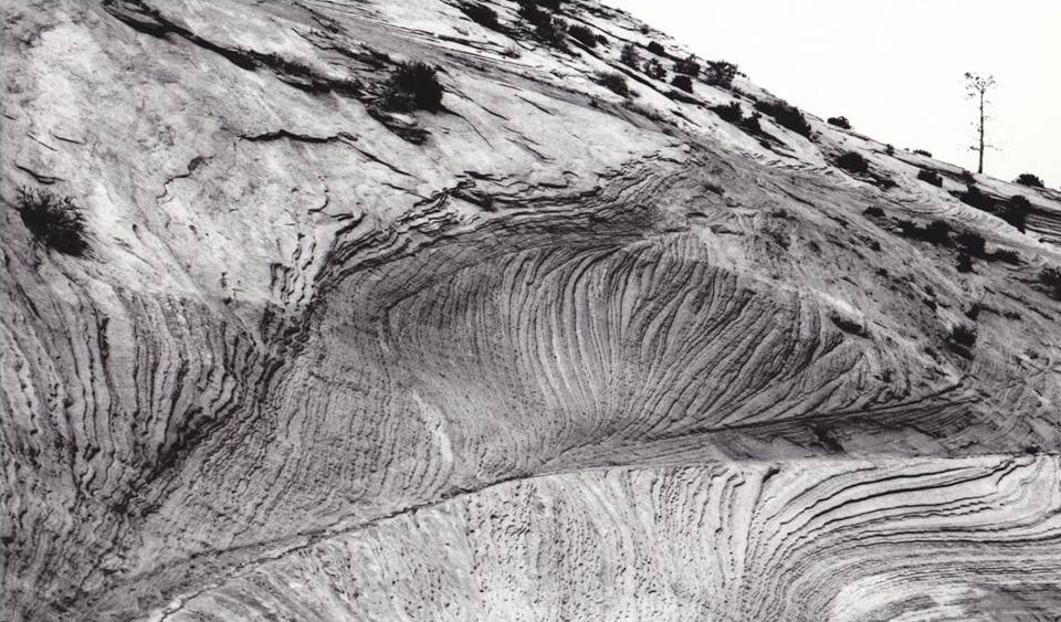 orange spring mound photograph