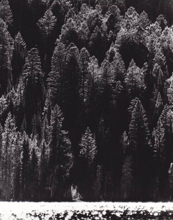 orange spring mound photograph
