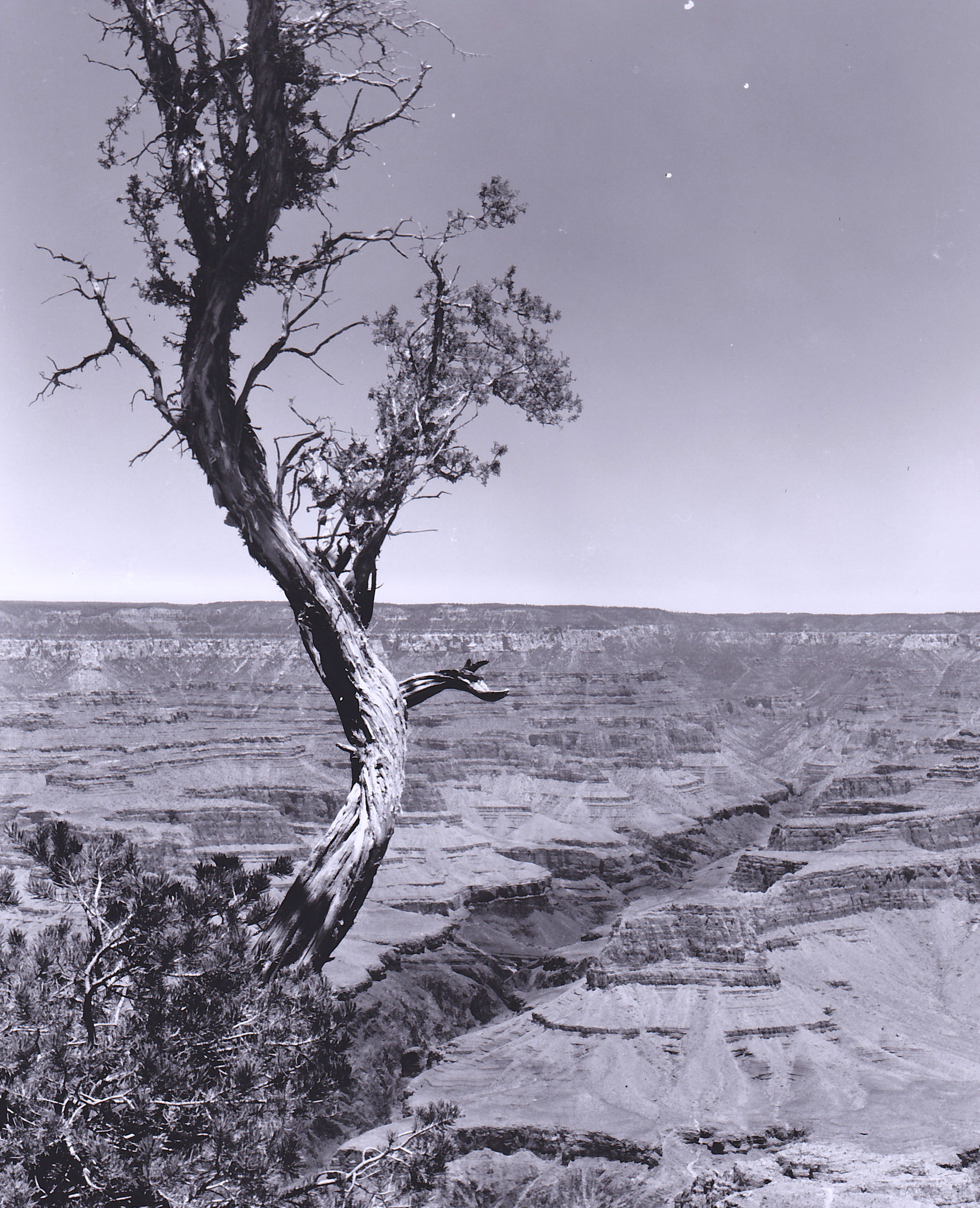 grand canyon overlook photograph