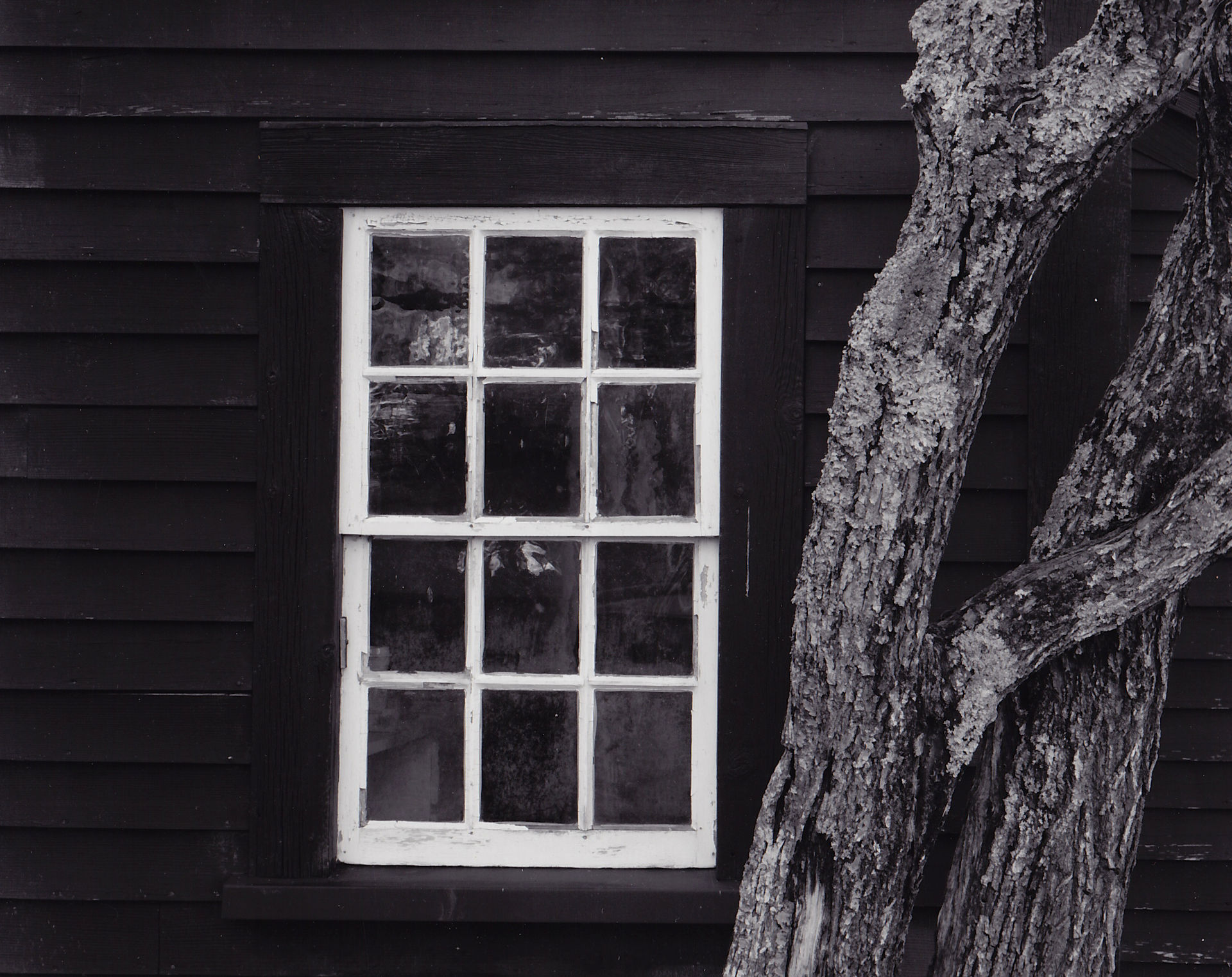 hamilton cottage photograph