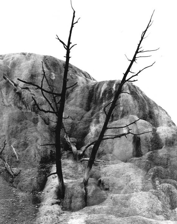 anvil bent's fort photograph