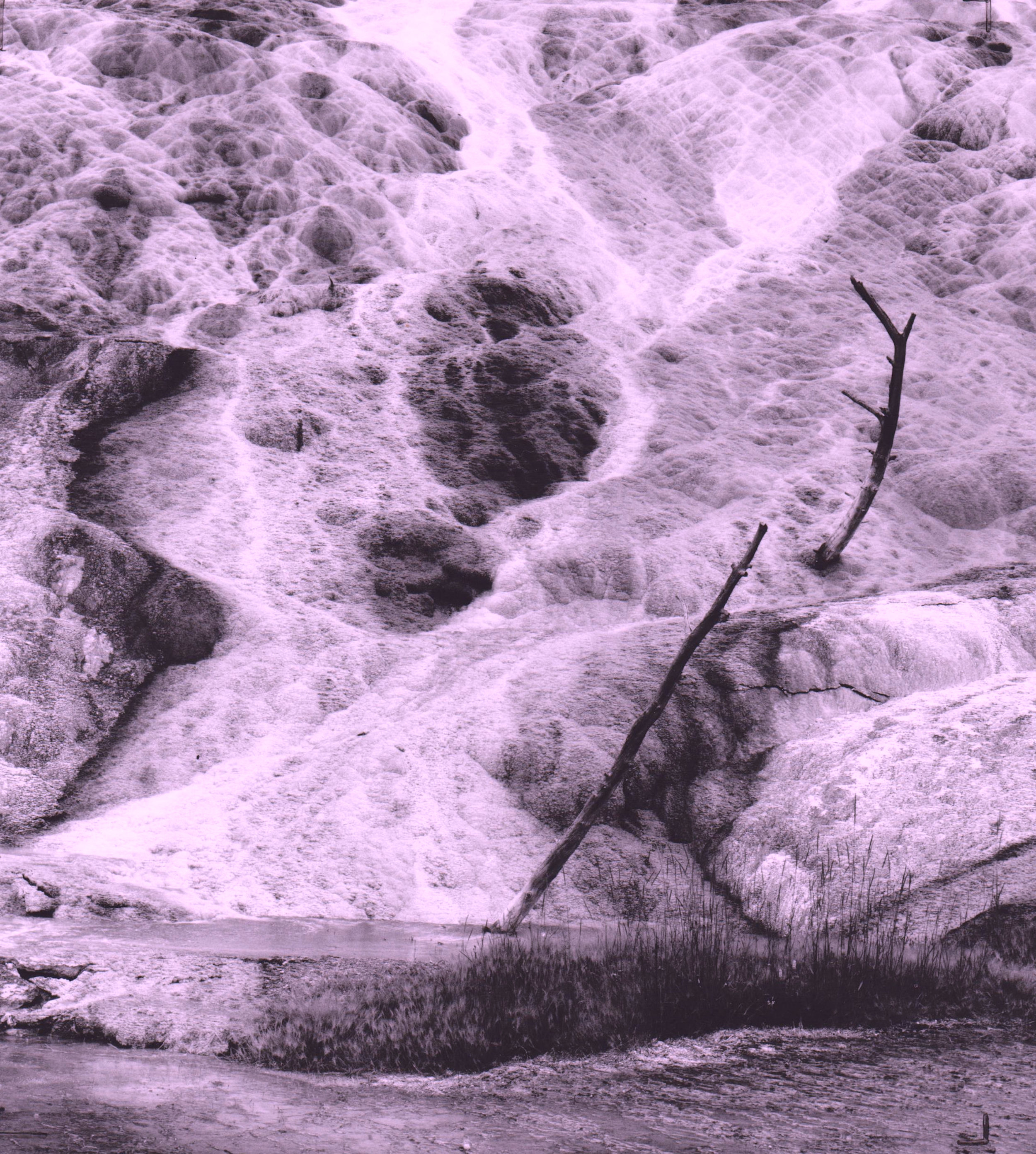 palette spring photograph