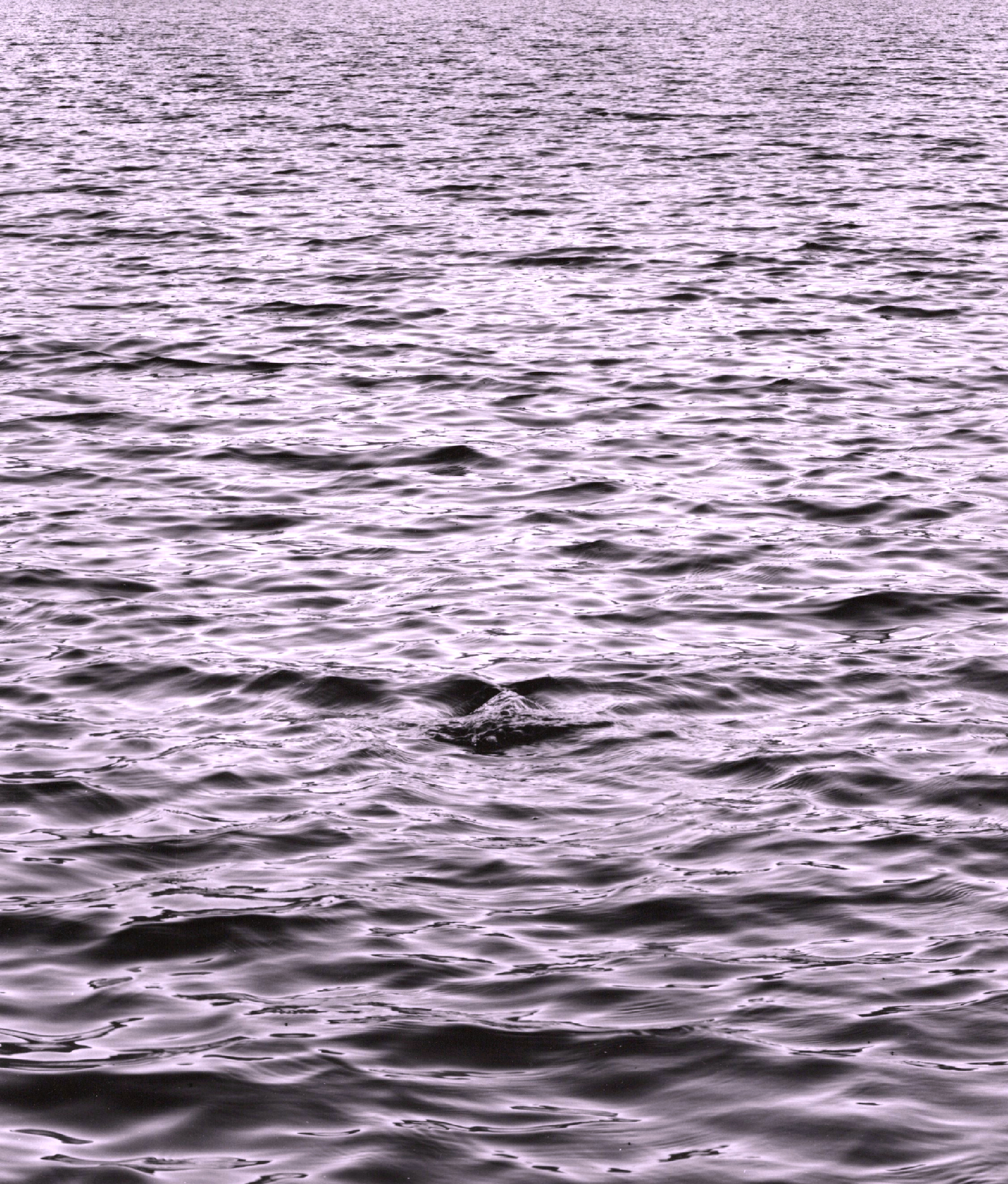pierce pond maine photograph