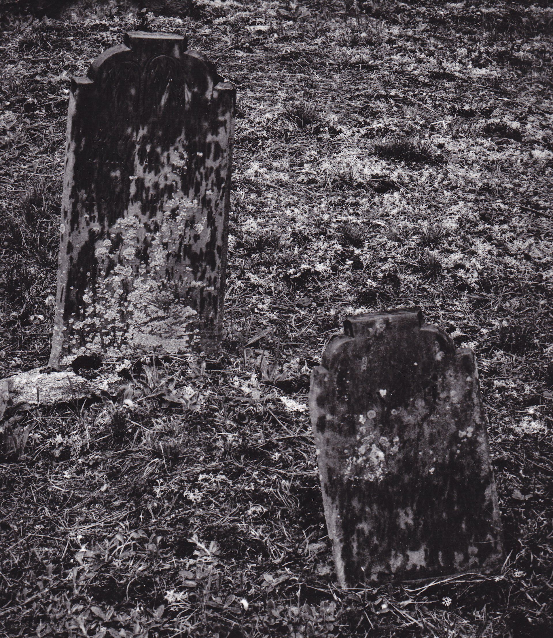 tombstones photograph
